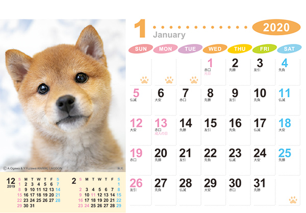 卓上カレンダー「ラブリーフレンズ(犬・猫)」・表面